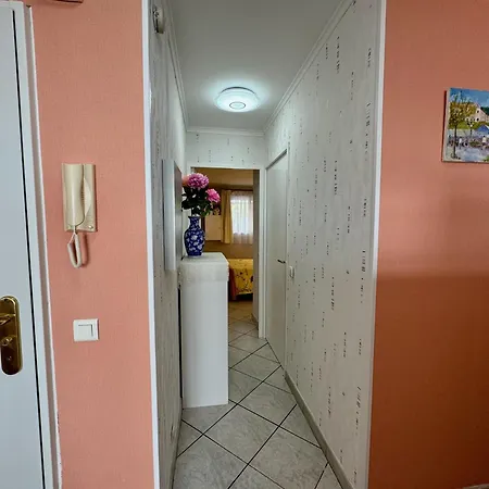 Bellevue Apartment
